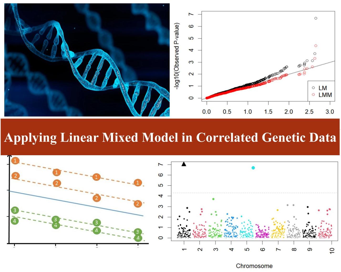 Applied Linear Mixed Model in Correlated Genetic Data